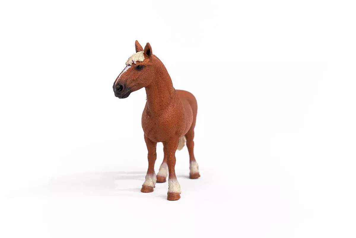 Schleich Farm World Beļģu smagā zirga 13941 Photo 2