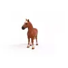 Schleich Farm World Beļģu smagā zirga 13941 Photo 2
