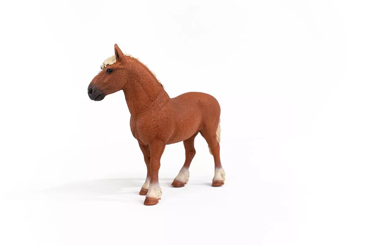 Schleich Farm World Beļģu smagā zirga 13941 Photo 3