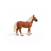 Schleich Farm World Beļģu smagā zirga 13941 Photo 5