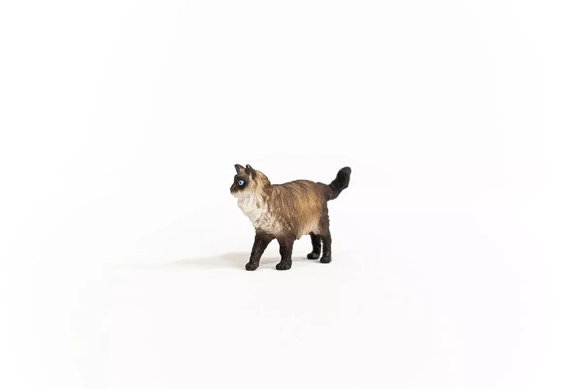 Schleich Ragdoll Cat figurine 13940 Photo 2