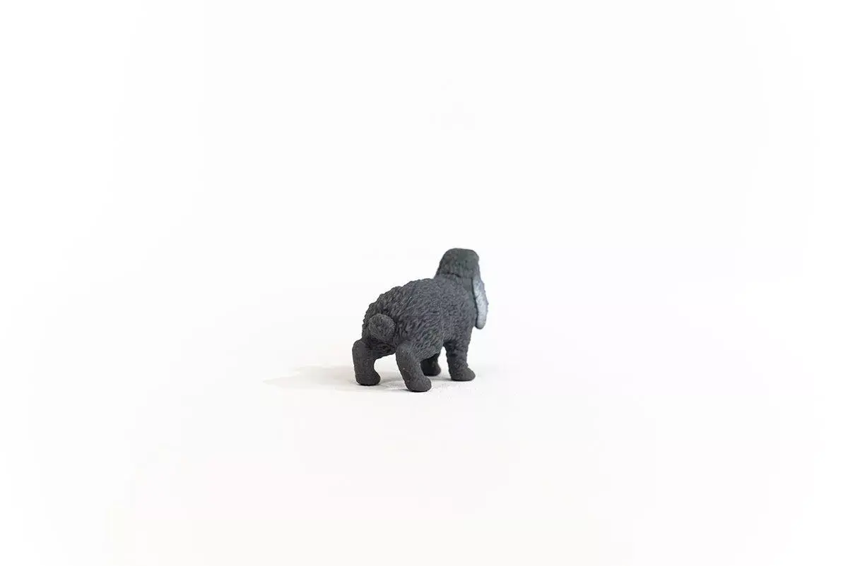 Schleich lejupejošu ausu trusis 13935 Photo 3
