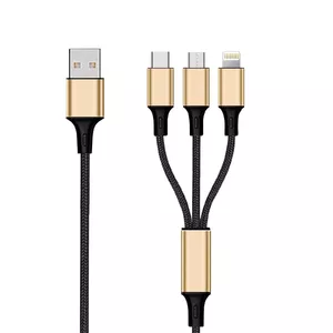 USB Cable 2GO 797152 3m USB B USB C/Micro-USB B/Lightning Black Gold