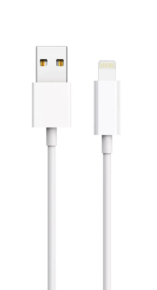 Mobile Device Charger 2GO 797253 Photo 2