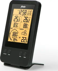 Alecto Professional Weather Station WS-3400 with Wireless Outdoor Sensor, Black