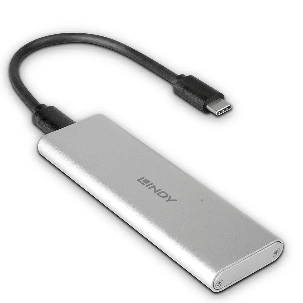 Lindy USB 3.2 Gen 2 M.2 SSD korpuss Photo 4