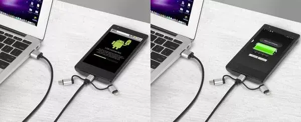 USB kabelis Renkforce RF-3335106 Photo 5