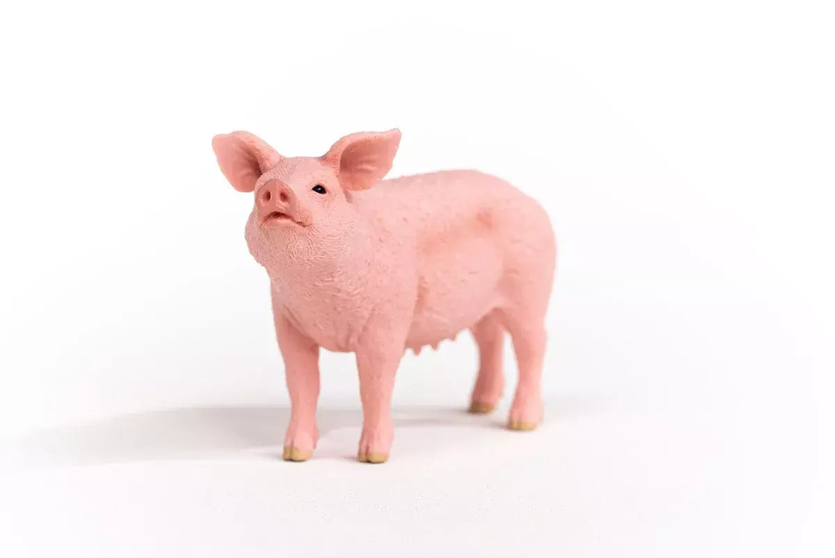 Schleich FARM WORLD — свинья модель 13933 Photo 2