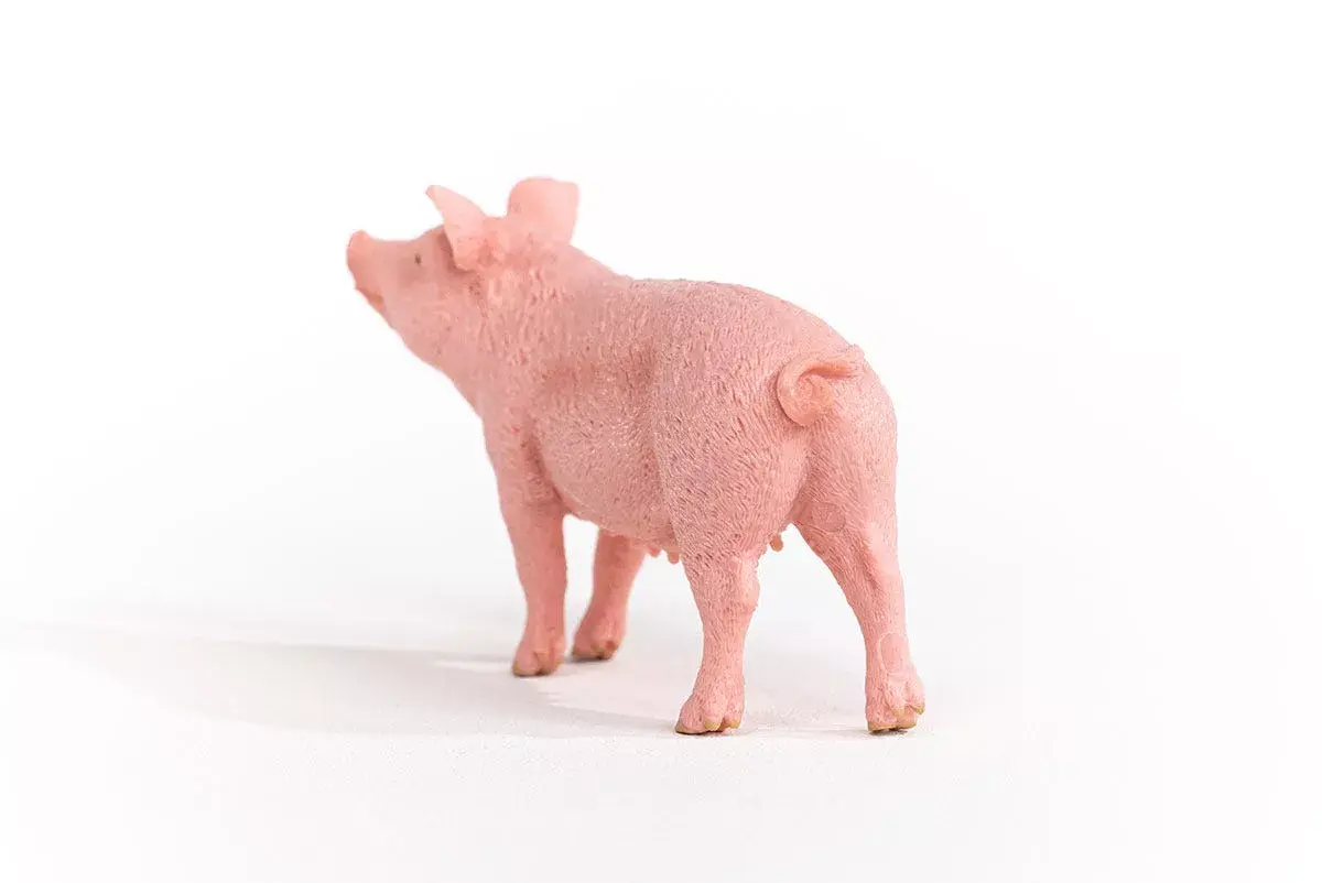 Schleich FARM WORLD — свинья модель 13933 Photo 4