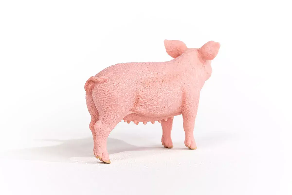 Schleich FARM WORLD — свинья модель 13933 Photo 5