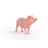 Schleich FARM WORLD — свинья модель 13933 Photo 6