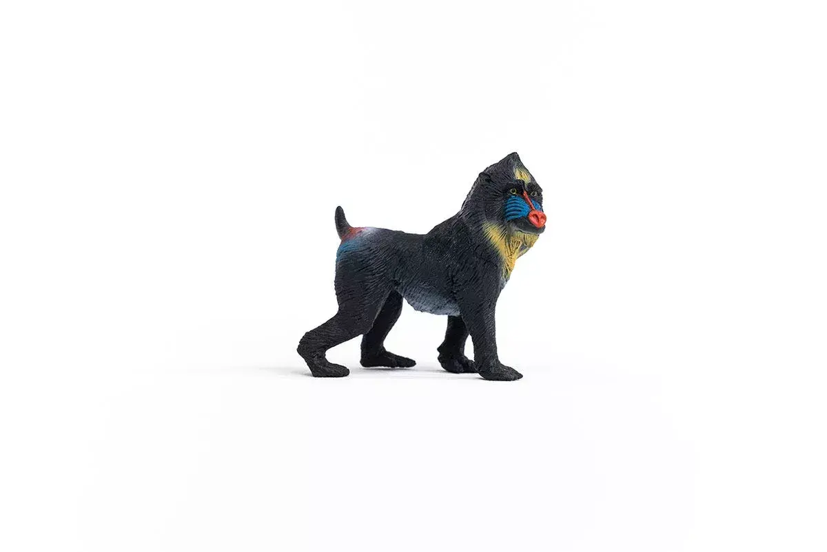 Schleich WILD LIFE Мандрил 14856 Photo 4