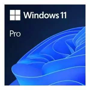 Microsoft Windows 11 Pro 1 license(s) ESD