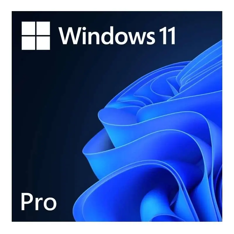 Microsoft Windows 11 Pro 1 licence(-s)