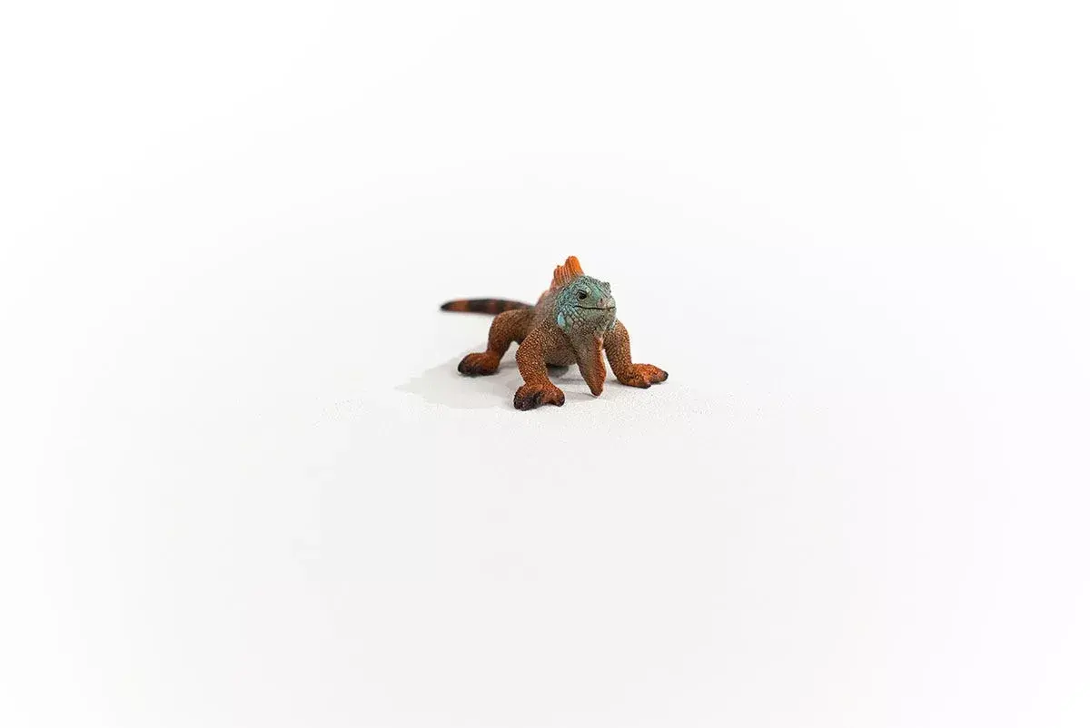 Schleich WILD LIFE Iguāna 14854 Photo 2