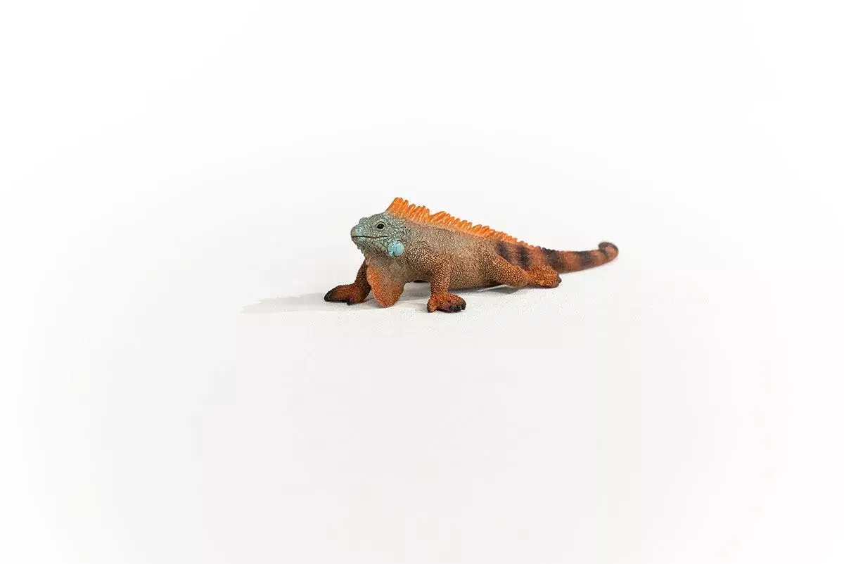 Schleich WILD LIFE Iguāna 14854 Photo 3