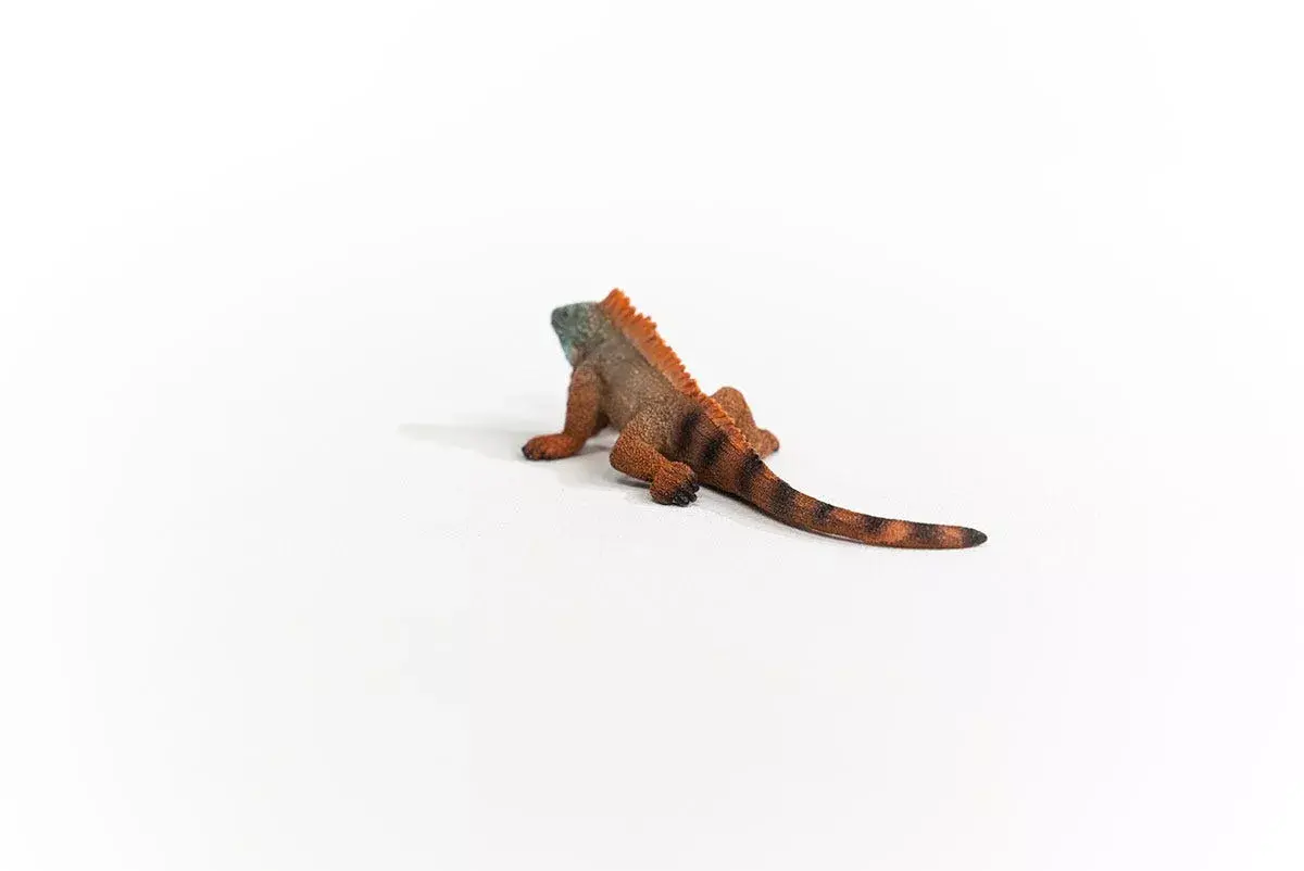 Schleich WILD LIFE Iguāna 14854 Photo 4