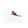 Schleich WILD LIFE Iguāna 14854 Photo 4