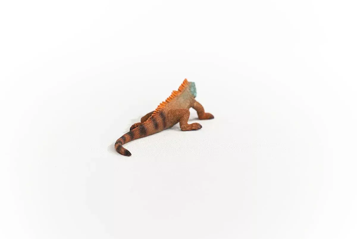 Schleich WILD LIFE Iguāna 14854 Photo 5