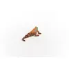 Schleich WILD LIFE Iguāna 14854 Photo 5