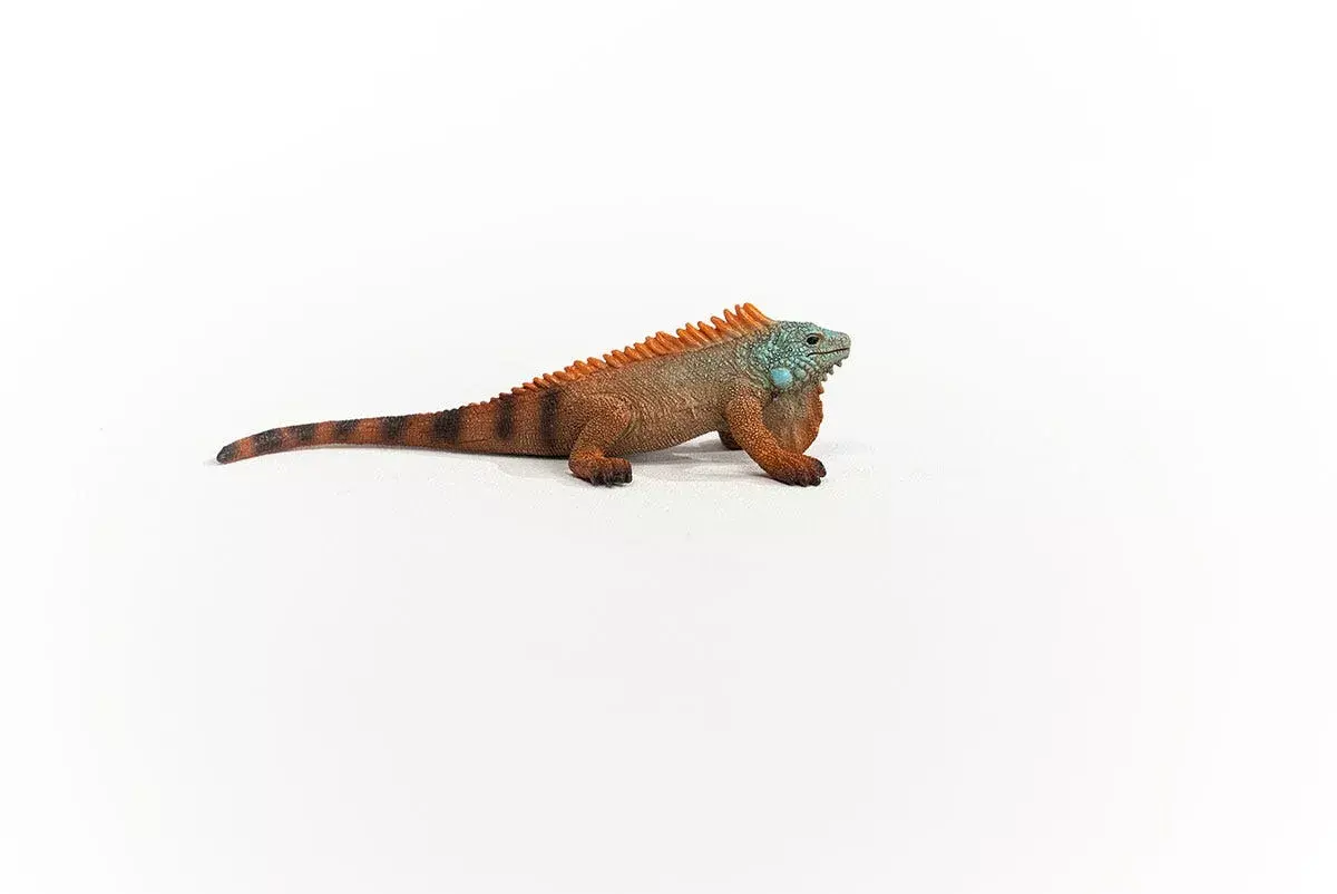 Schleich WILD LIFE Iguāna 14854 Photo 6