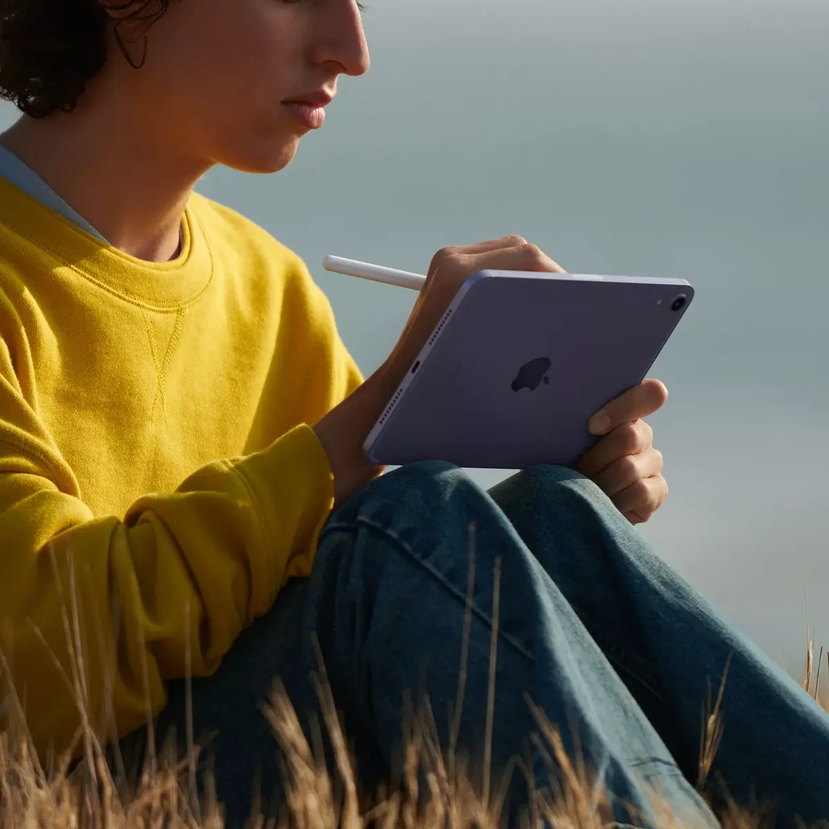 Планшет Apple iPad mini 6-го поколения Photo 4