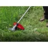 Zāles pļāvējs Einhell GC-BC 25/1 I AS Photo 6
