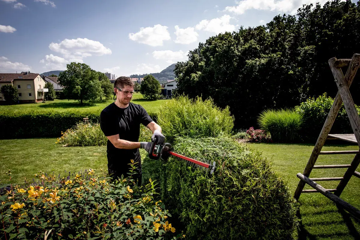 Cordless Saw Metabo HS 18 LTX 65 Photo 6