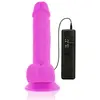 Vibrators DIVERSIA FLEXIBLE VIBRATING DILDO Photo 4