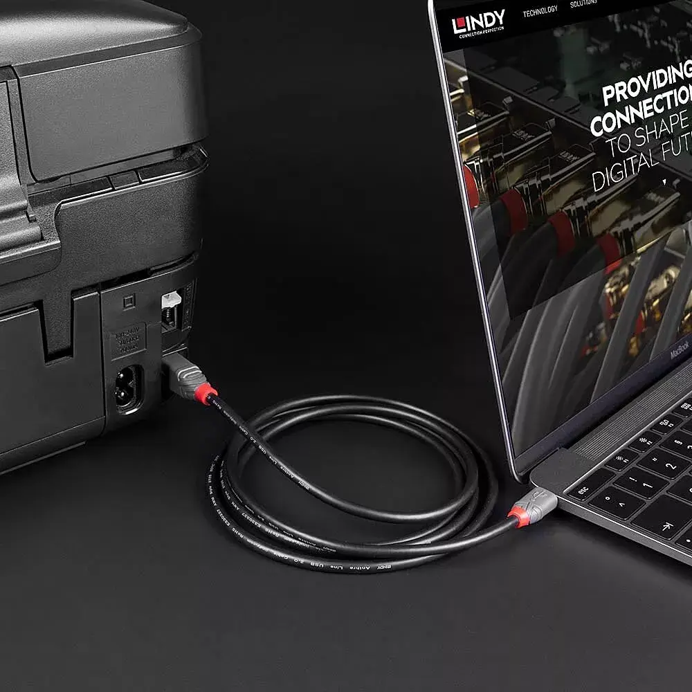 Lindy 3m USB 2.0 Type C uz B kabelis Photo 5