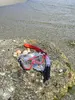Full-face scuba mask schildkrÖt Fiji Photo 5