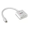 Lindy Mini DisplayPort uz DVI pārveidotājs Photo 3
