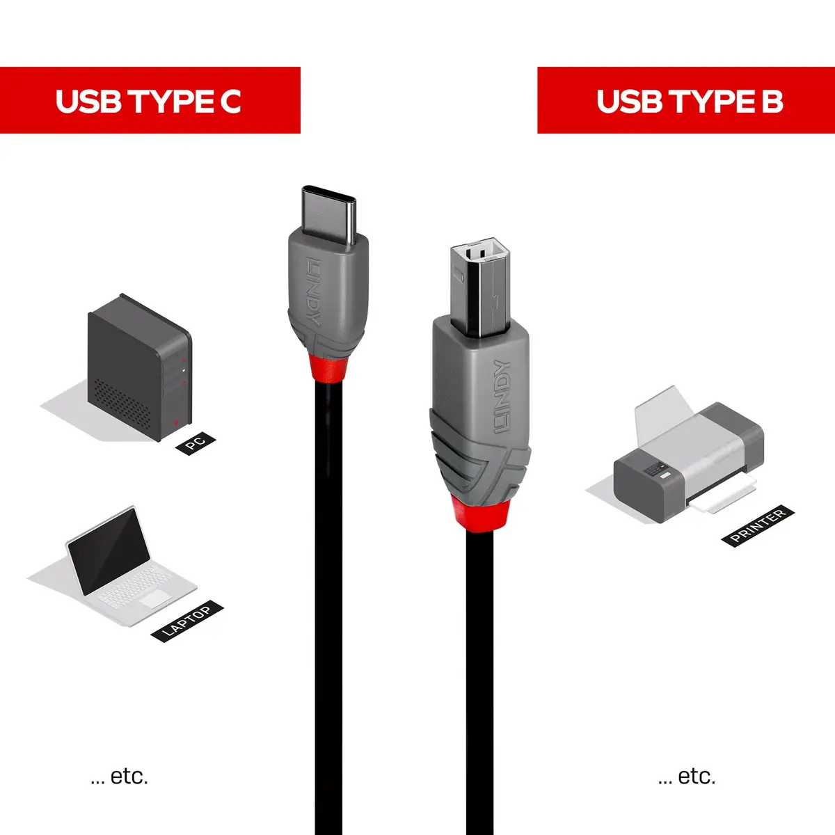 USB 2.0 Type C uz B kabelis Lindy 2 m Photo 3