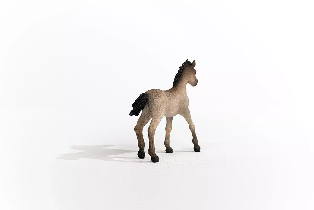 Schleich Horse Club Criollo Definitivo Foal Photo 2