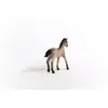 Schleich Horse Club Criollo Definitivo Foal Photo 2