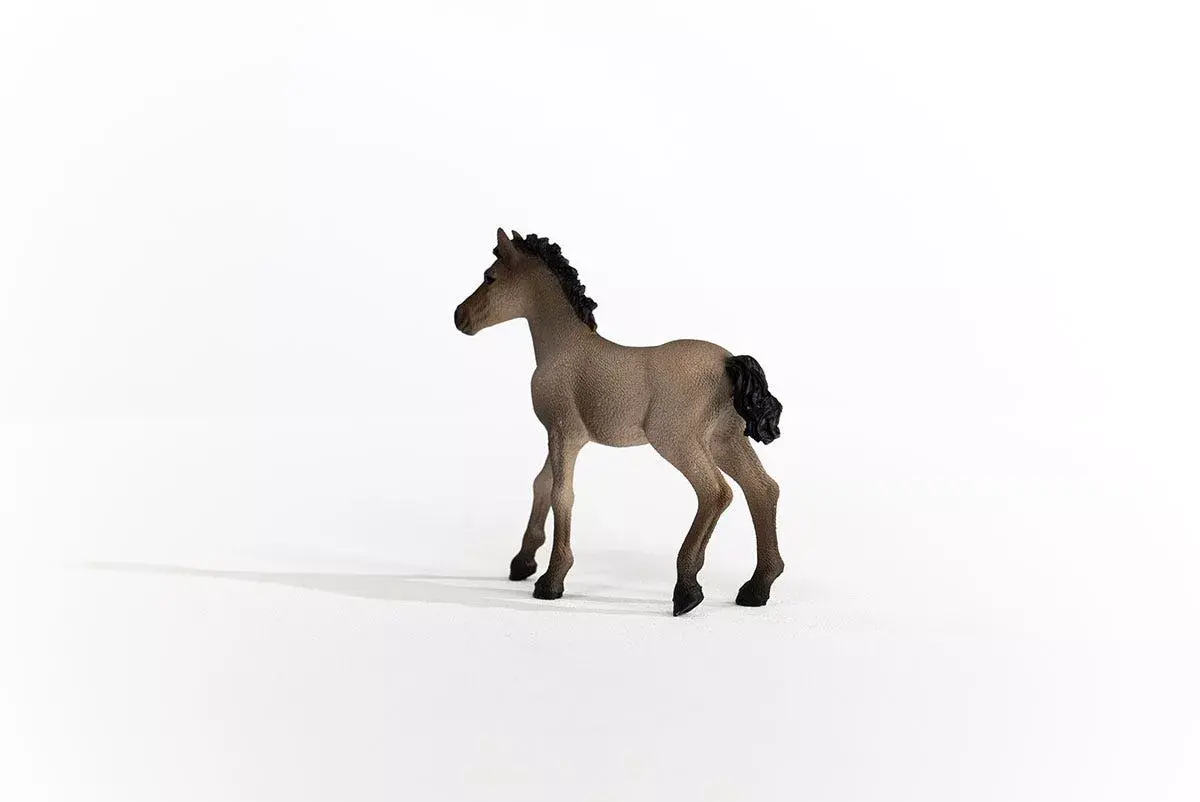 Schleich Horse Club Criollo Definitivo Foal Photo 3
