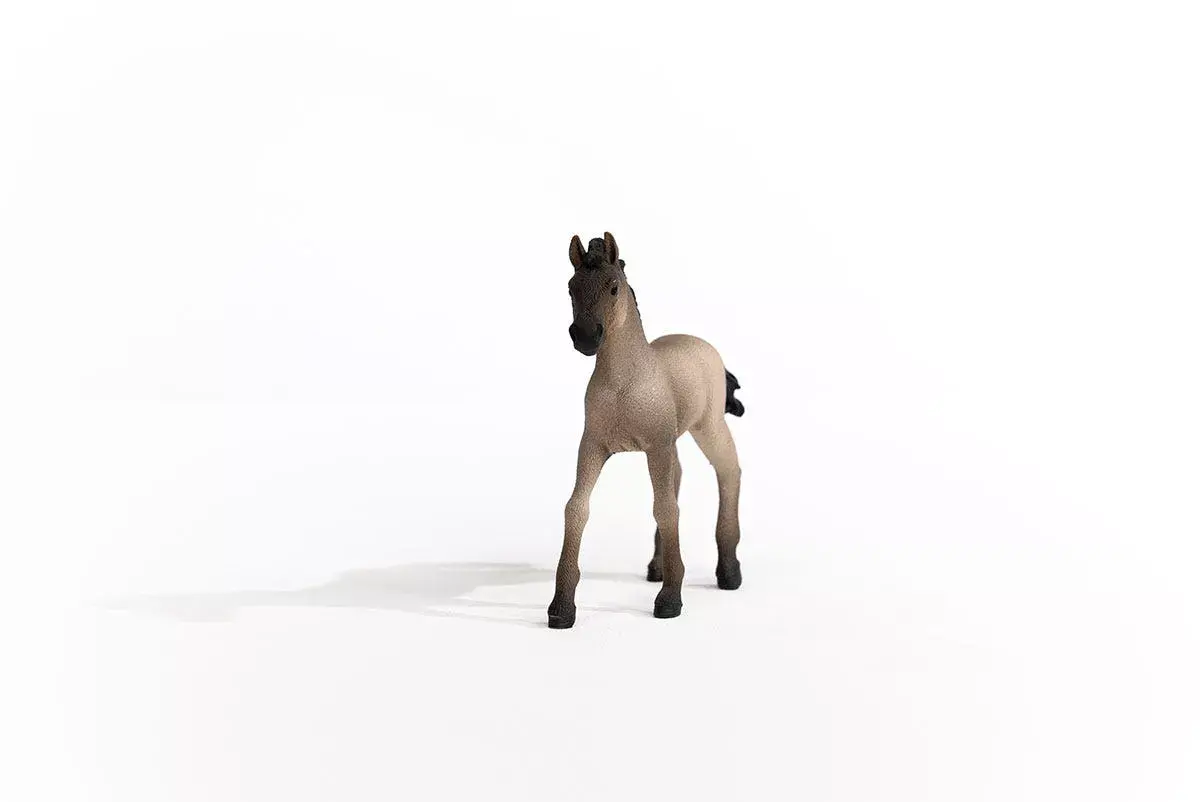 Schleich Horse Club Criollo Definitivo Foal Photo 4