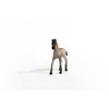 Schleich Horse Club Criollo Definitivo Foal Photo 4