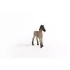 Schleich Horse Club Criollo Definitivo Foal Photo 5