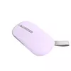 Мышка Asus MD100 Photo 6