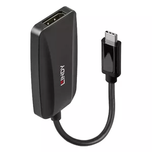 Переходник USB Type C на DisplayPort Lindy 43337