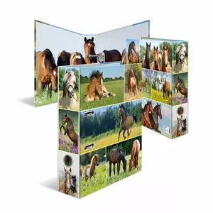 Ring Binder HERMA 19251 A4 Multicolour D-ring Storage 285x315mm