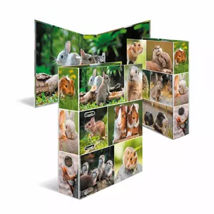 HERMA 19252 ring binder A4 Multicolour D-ring Storage