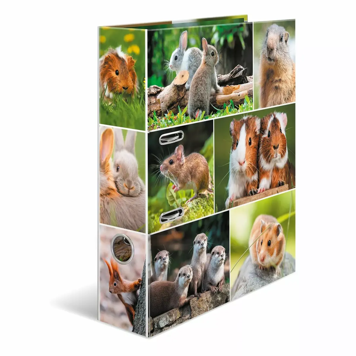 HERMA 19252 ring binder A4 Photo 2