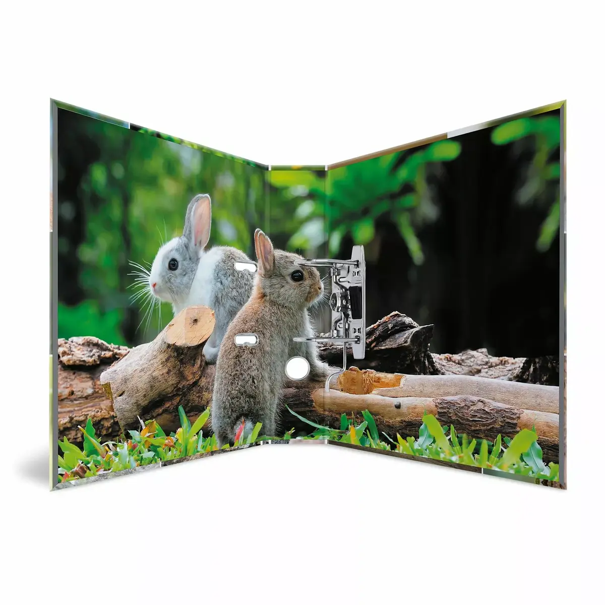 HERMA 19252 ring binder A4 Photo 3
