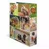 HERMA 19252 ring binder A4 Photo 4