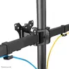 Neomounts monitora galda statīvs FPMA-D550DD3BLACK Photo 11