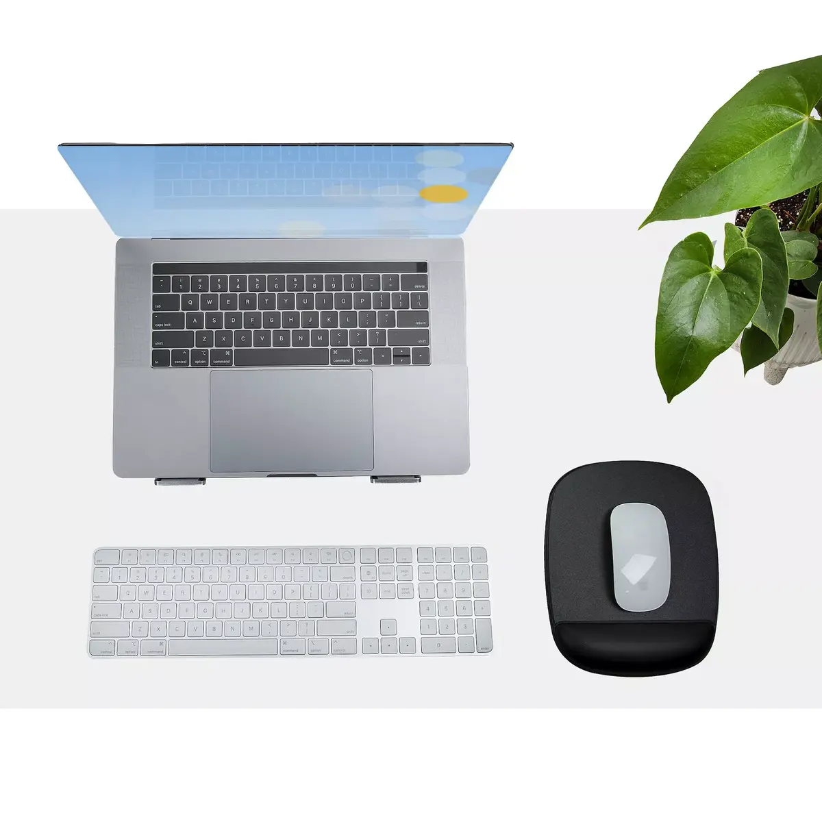 Peles paliktnis StarTech.com B-ERGO-MOUSE-PAD Photo 6