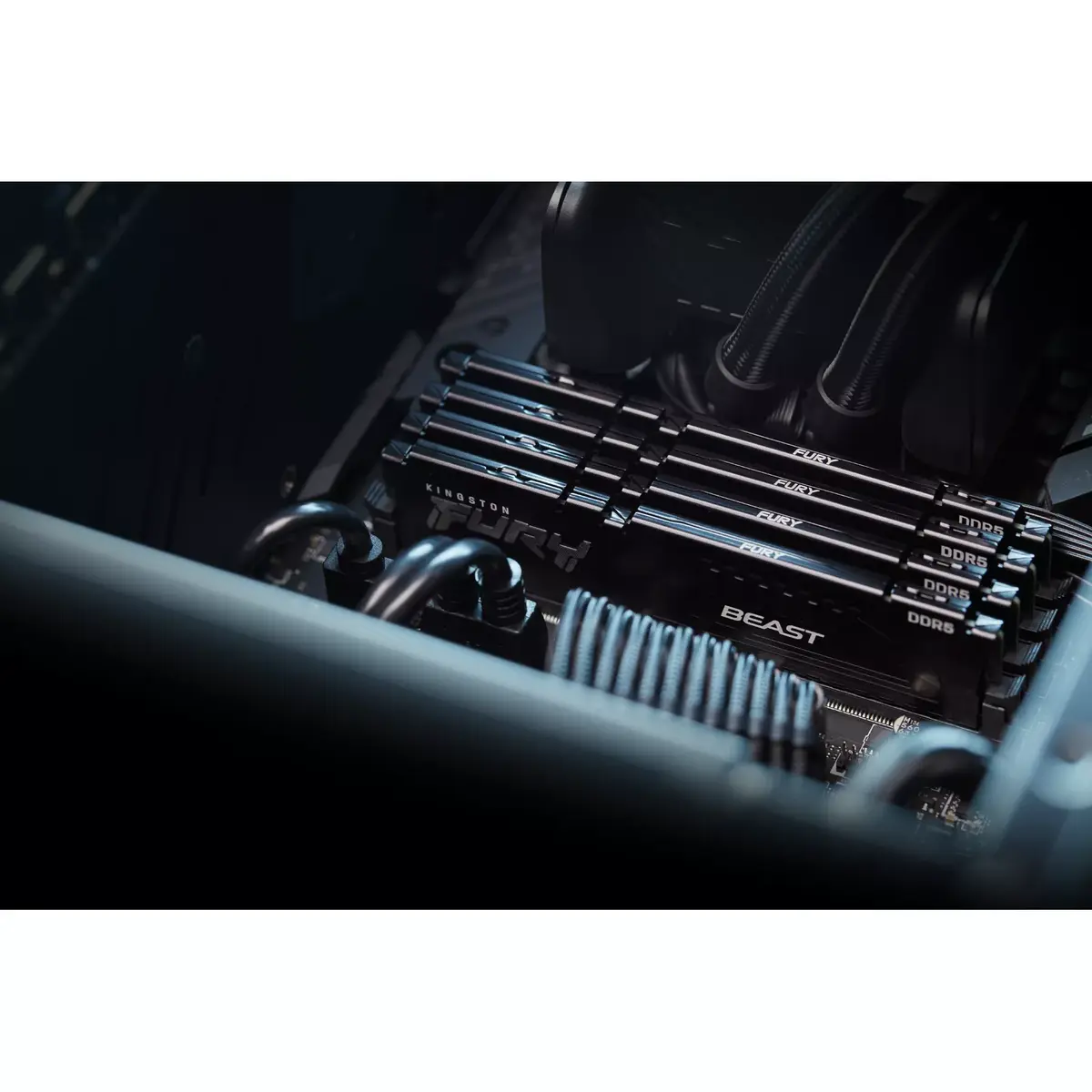 Atmiņa Kingston Technology 64GB KF552C40BBK2-64 Photo 10
