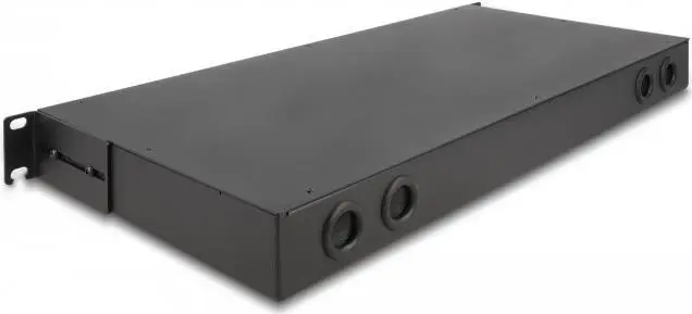 DeLOCK 19" Šķiedru Optikas HD